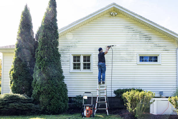 Best House Pressure Washing  in Dawson, TX