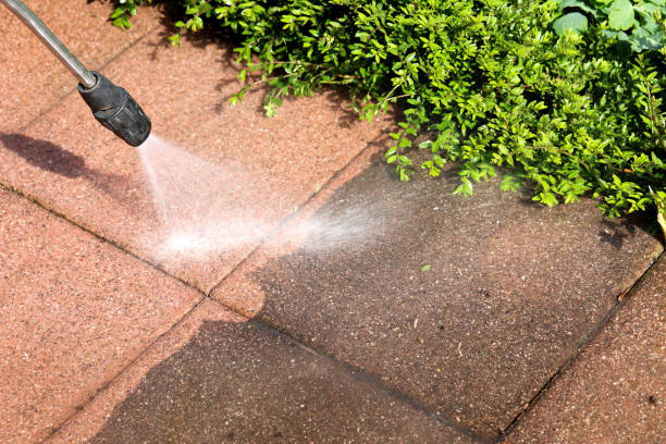 Best House Pressure Washing  in Dawson, TX